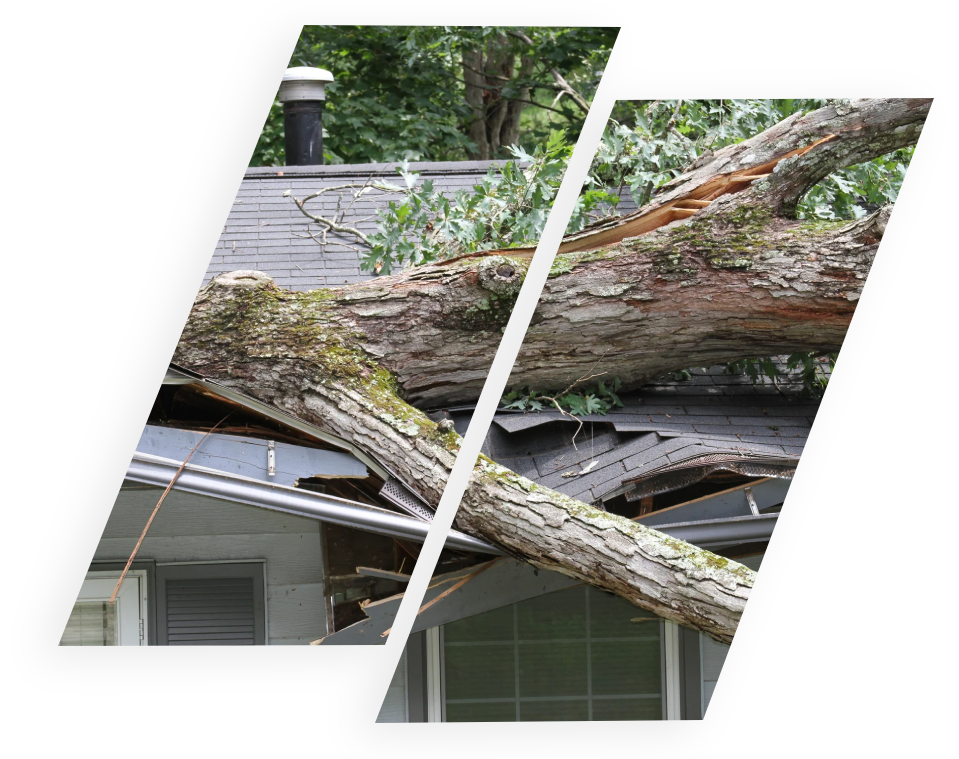 Fallen tree on a roof | Storm Damage Roof Repair